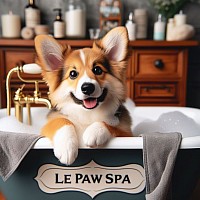 Dog groomers colorado springs.