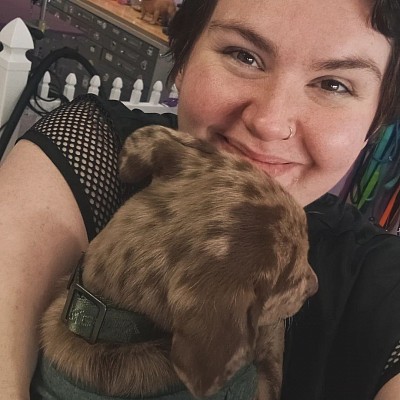 Dog groomers near me colorado springs