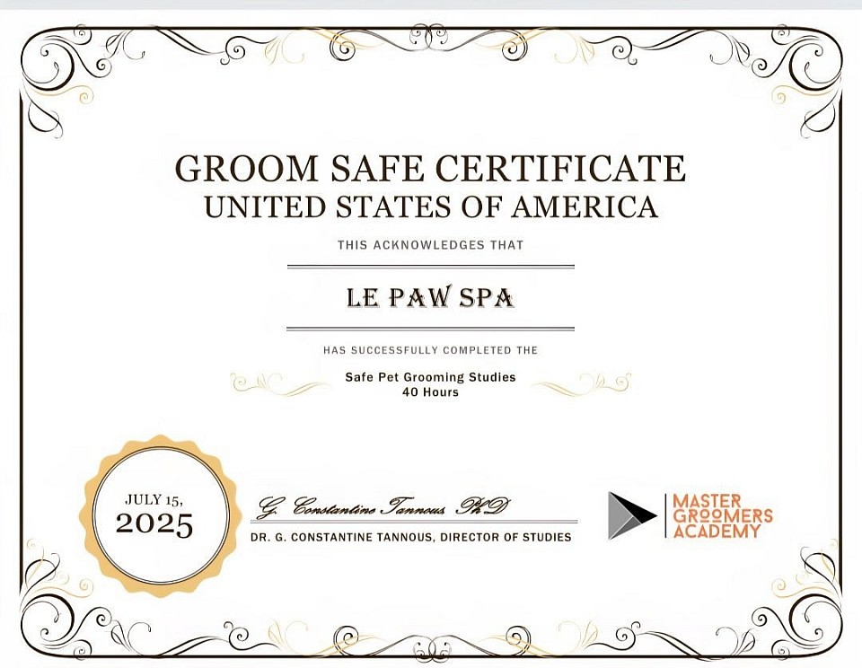 Dog grooming colorado springs.